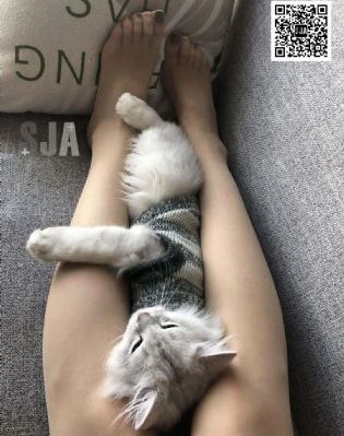 手机观看成人色不雅视频_蓝光电视剧在线观看